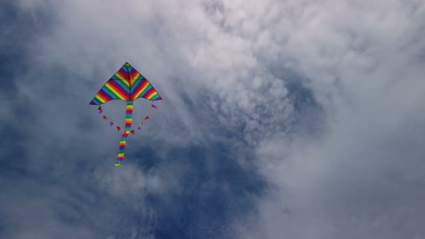 Regenboog vlieger vliegen in blauwe lucht - Video