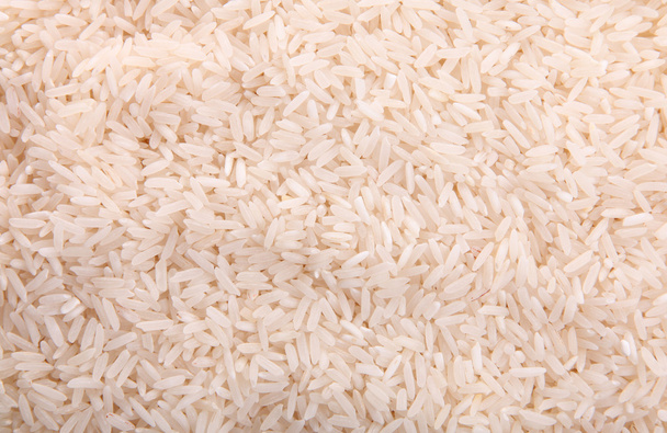 Rice - Photo, Image