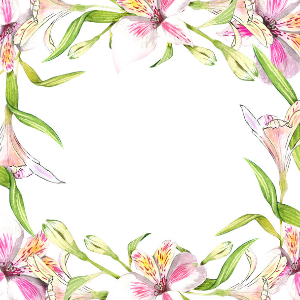 Frame border ornament square. Pink alstroemeria bouquet floral botanical flowers. Wild spring leaf wildflower. Watercolor background illustration. Watercolour drawing fashion aquarelle. - 写真・画像