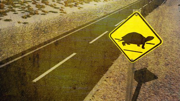 Tartaruga cruzando sinal de rendimento no deserto
 - Foto, Imagem