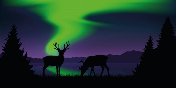 северный олень у озера с красивыми зелеными полярными огнями дикой природы пейзаж
 - Вектор,изображение