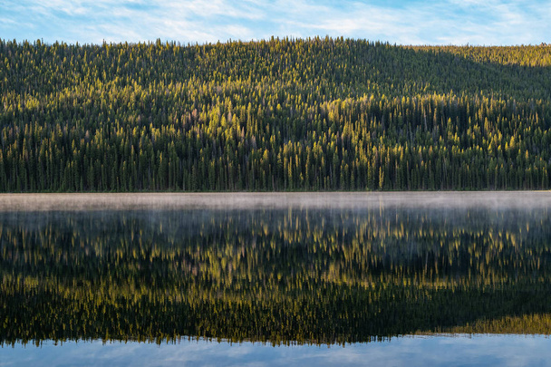 Sűrű erdő Ponderosa Pines tükrözik Stanley Lake at Su - Fotó, kép