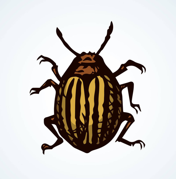 Colorado beetle. Vector drawing - Vector, Image