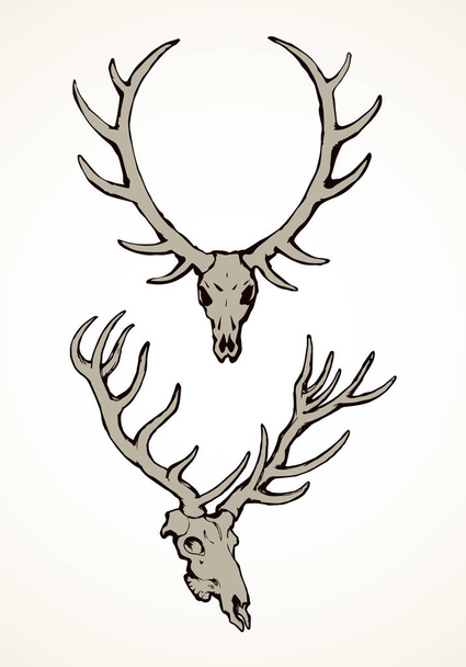 Skull of deer. Vector drawing - Wektor, obraz