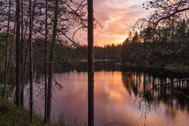 Bosque al atardecer sobre el lago
 - Foto, Imagen