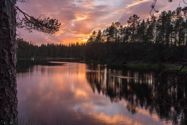 Foresta al tramonto sul lago
 - Foto, immagini