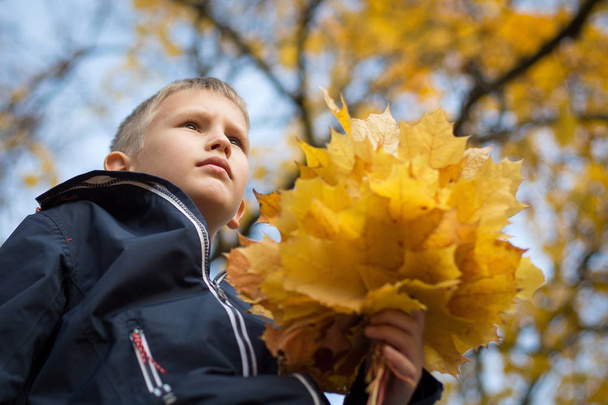 A boy of European appearance with a bouquet of leaves. Yellow blurred background. Bottom view. Autumn day.  - Фото, изображение