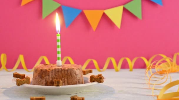 pastel de cumpleaños feliz para perro de comida húmeda y golosinas con vela sobre fondo de fiesta rosa
 - Metraje, vídeo