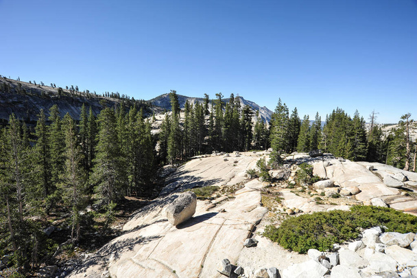 Yosemite Park, Kalifornie, Spojené státy americké - Fotografie, Obrázek