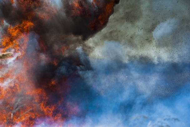 Вогонь, сильний дим. Палаюча тростина в болоті. стихійні лиха
 - Фото, зображення
