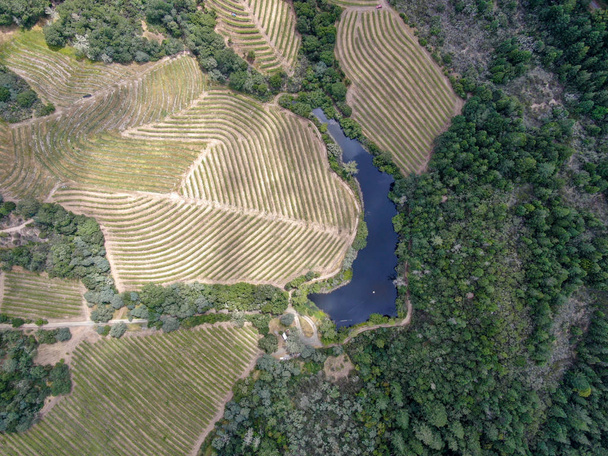 Luftaufnahme von oben auf Napa-Tal mit Weinberg und kleinem See. napa County, im kalifornischen Weinland. Weinbaulandschaft. - Foto, Bild