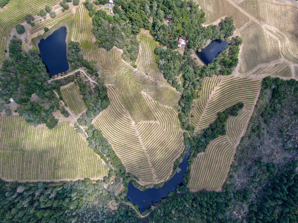 ブドウ園と小さな湖を持つナパバレーの航空写真トップビュー。カリフォルニアのワインカントリーにあるナパ郡。ブドウ園の風景. - 写真・画像