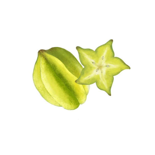 Tropical star fruit hand drawn watercolor illustration on white background - Photo, Image