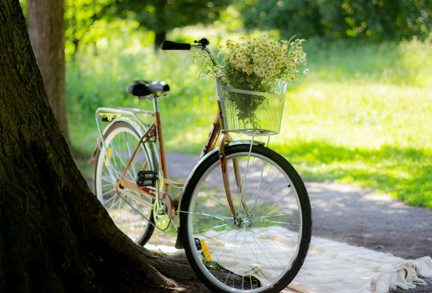 There is a bycicle with a basket of flowers - Photo, image