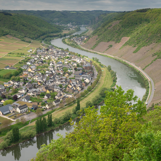Moselle, Ernst, Allemagne
 - Photo, image