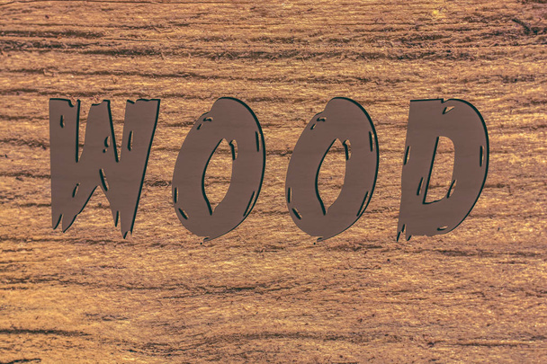 WOOD wording on wood texture with natural patterns - Photo, Image