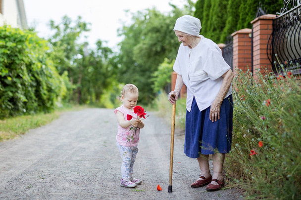 Wielka babcia i maluch dziewczyna zbieranie kwiatów w countrysid - Zdjęcie, obraz