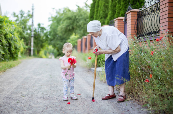 Nagy nagymama és kisgyermek lány szedés virágok countrysid - Fotó, kép