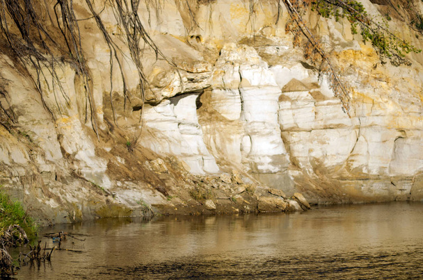 Глиняные скалы у воды реки с эрозионными типами местности и обнаженными корнями упавших деревьев в арктической тундре Якутии вблизи
. - Фото, изображение