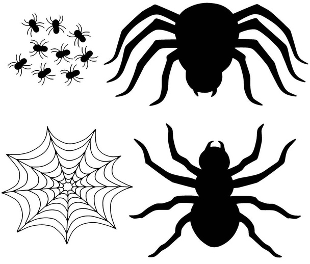 Spider Silhouettes Tarantula Insect Bugs Halloween Vectors - Vector, Image
