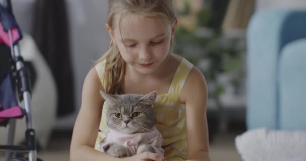 Dziewczyna oddanie ubrań na kota - Materiał filmowy, wideo