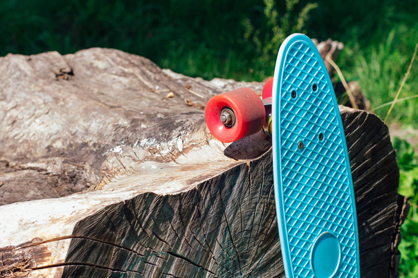 Blue penny board with pink wheels on stump. - Foto, afbeelding
