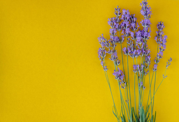 kimppu tuoreita laventeli kukkia kirkkaan keltainen tausta, ylhäältä näkymä. Kopioi tilaa. Litteä
 - Valokuva, kuva