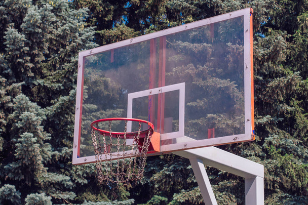 Outdoor basketball ring in front of green trees background. - Zdjęcie, obraz