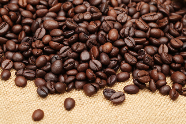 Coffee beans - Photo, Image