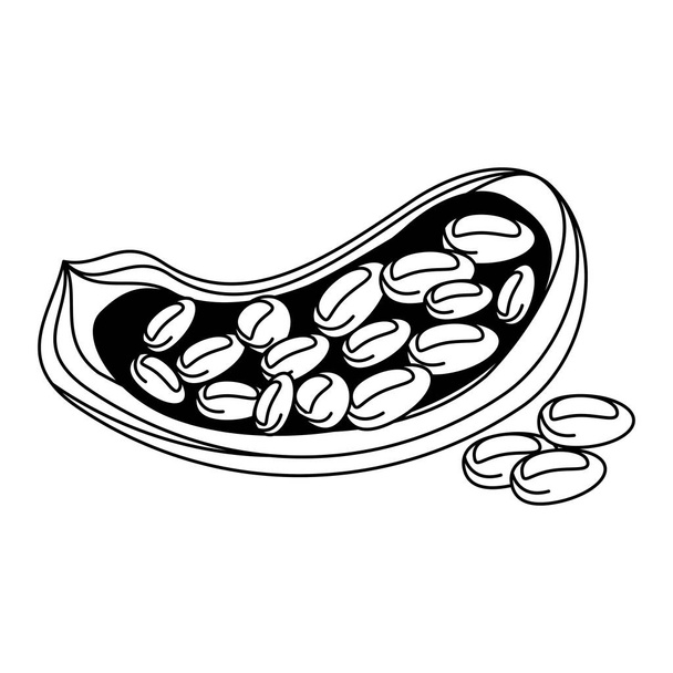 Siyah beyaz fındık doğal gıda karikatür - Vektör, Görsel