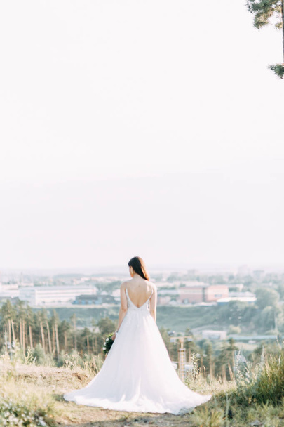 Bride with long dress in nature with sunset. A stylish wedding in the European style of fine art.  - 写真・画像
