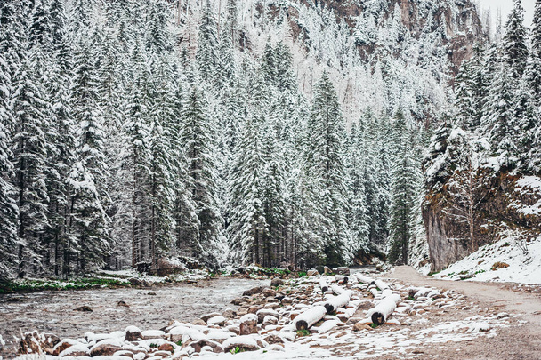 Ο Χιονισμένος δρόμος και το ρυάκι στα όρη Τάτρα. - Φωτογραφία, εικόνα
