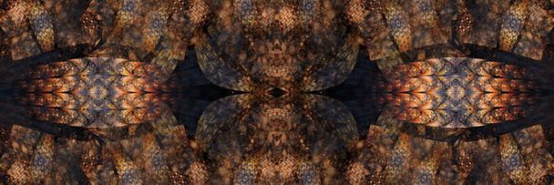 Fond fractal coloré
 - Photo, image