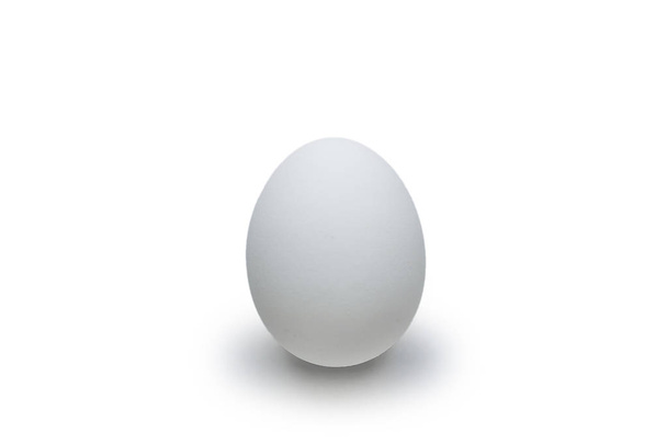 White chicken egg isolated on the white background - Photo, Image