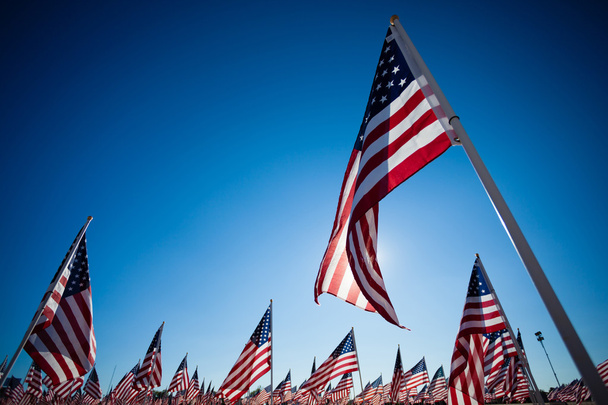 Ukázka amerických vlajek s pozadím nebe - Fotografie, Obrázek