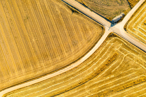 Cereal fields in Castilla y Leon Spain bird��s eye view - Photo, Image