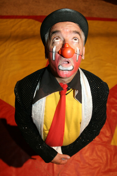 Clown del circo
 - Foto, immagini