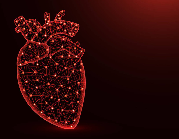 Сердце с аортой и венами низкого поли модель, человеческие органы абстрактная графика, анатомия многоугольной проводной векторной иллюстрации на темно-красном фоне
 - Вектор,изображение