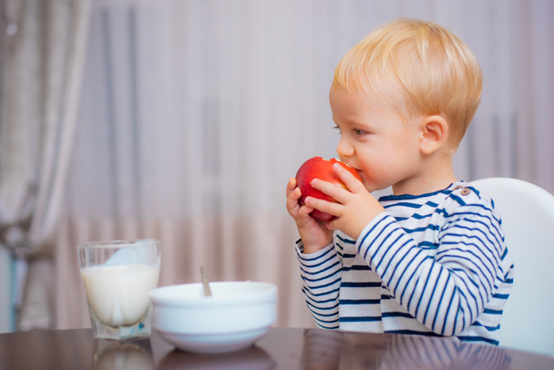 Healthy food. Boy cute baby eating breakfast. Baby nutrition. Eat healthy. Toddler having snack. Healthy nutrition. Vitamin concept. Child eat apple. Kid cute boy sit at table with plate and food - Photo, Image
