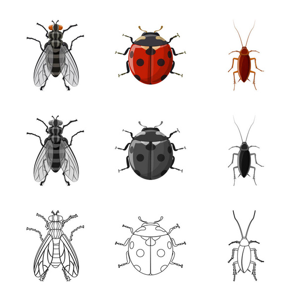 Vectorillustratie van insecten en vliegen teken. Set insect en element vector pictogram voor voorraad. - Vector, afbeelding