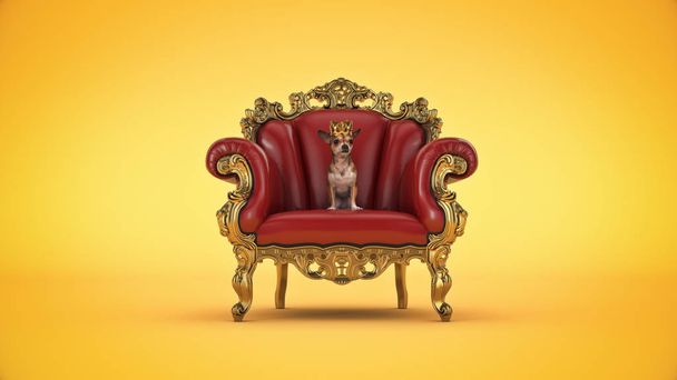Pes s korunou na židli - Fotografie, Obrázek