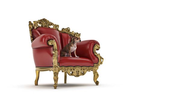 椅子に王冠を持つ犬 - 写真・画像