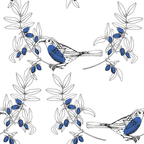 Birds on the branches of honeysuckle. Seamless pattern on white background. Hand-drawn vector Illustration. - Vetor, Imagem