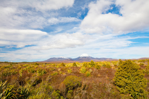 MT Ngauruhoe krajina - Fotografie, Obrázek