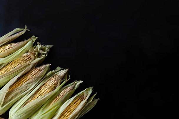 Corns on the Cob on black - Foto, immagini
