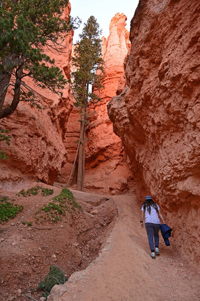 Jonge vrouw op de Navajo Loop Trail in Bryce Canyon. - Foto, afbeelding