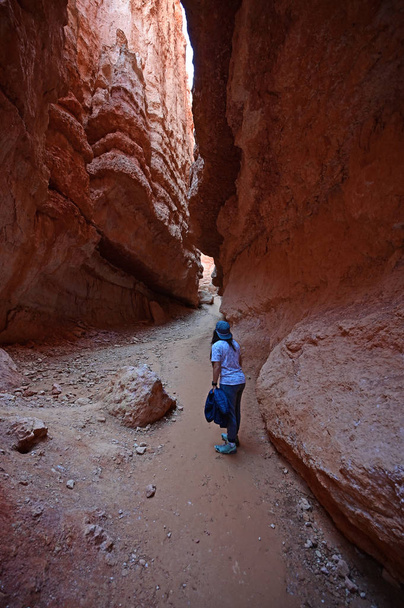 Mladá žena na stezce Navajo v Bryce Canyon. - Fotografie, Obrázek