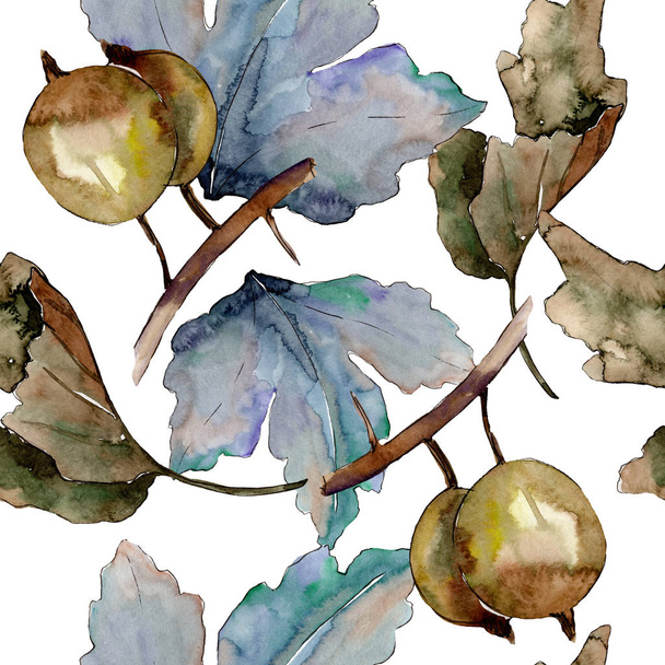 Gooseberry healthy food isolated. Watercolor background illustration set. Seamless background pattern. - Fotografie, Obrázek
