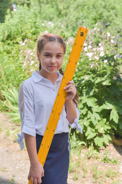 elementaire schoolmeisje staande door school poort - Foto, afbeelding