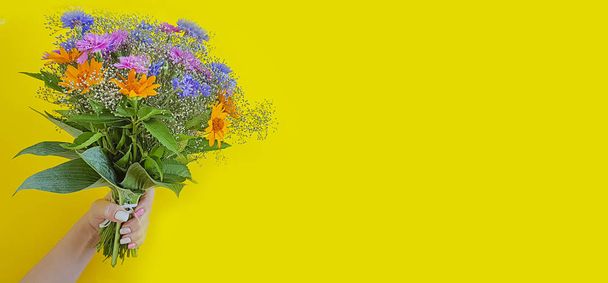 female hand holding a bouquet of summer flowers on a colored background - Foto, afbeelding